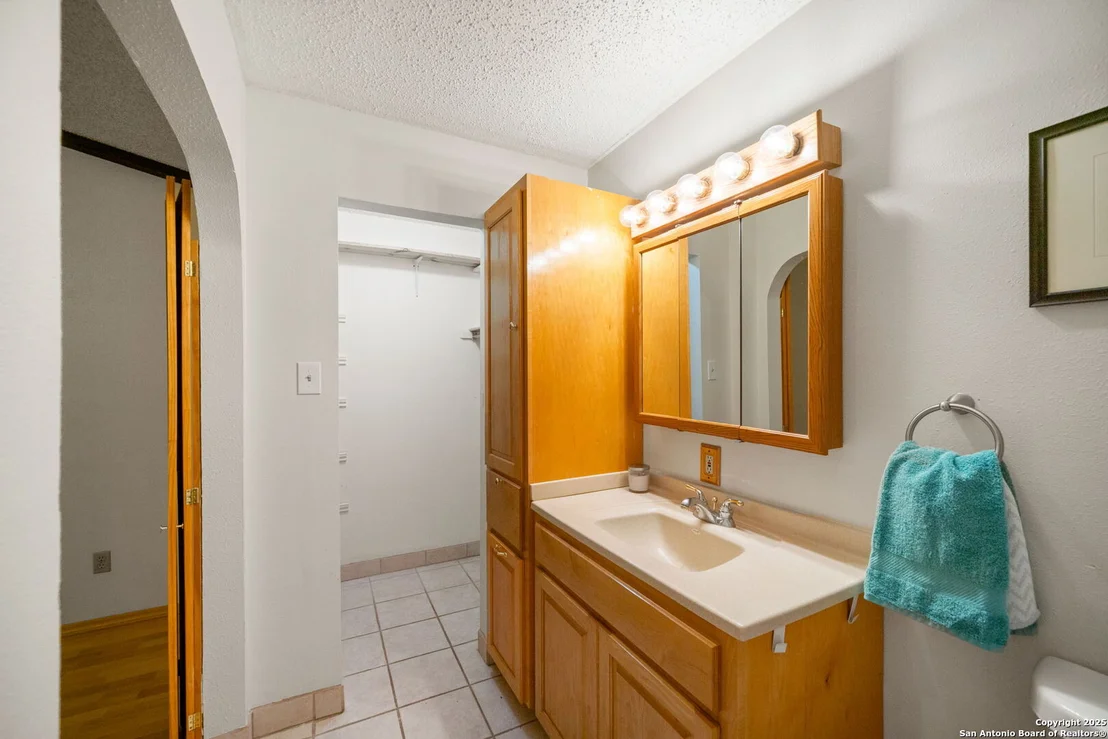Photo of 1606 forest spring