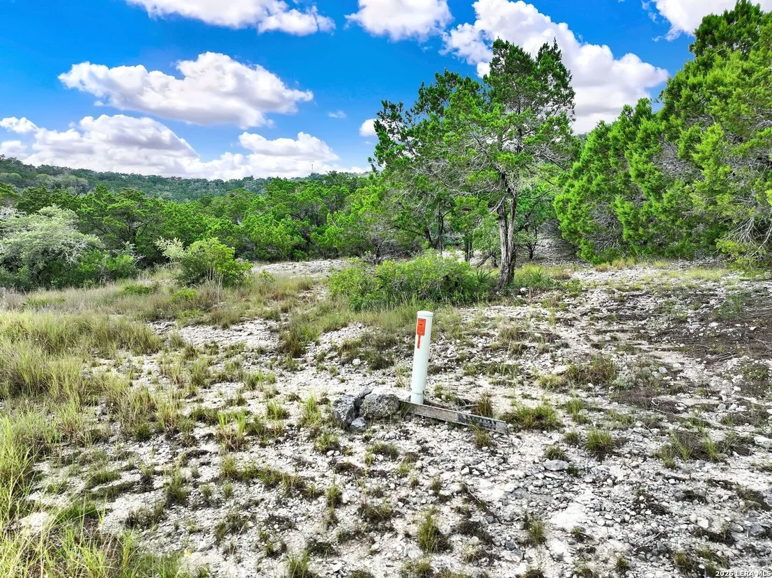 Photo of LOT 101 Pr 1712