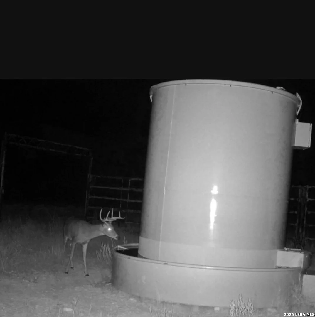 Photo of 16 Lewis Rd