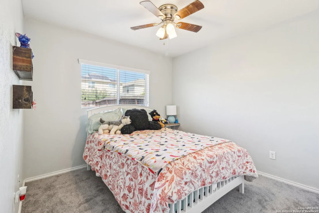 Photo of 155 PRATO PALMA
