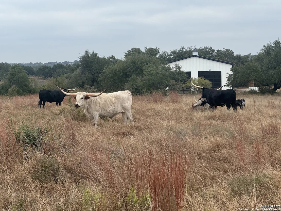 Photo of 718 Windmill Ridge