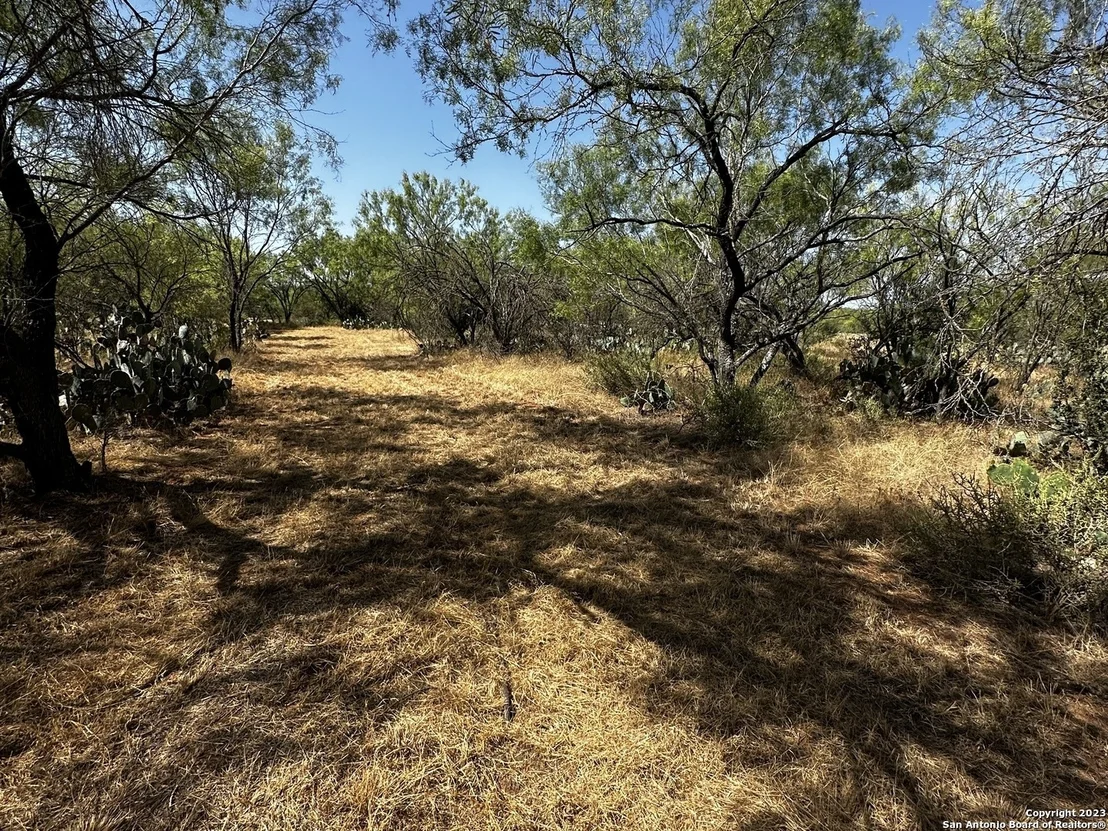 Photo of 157 CR 2644