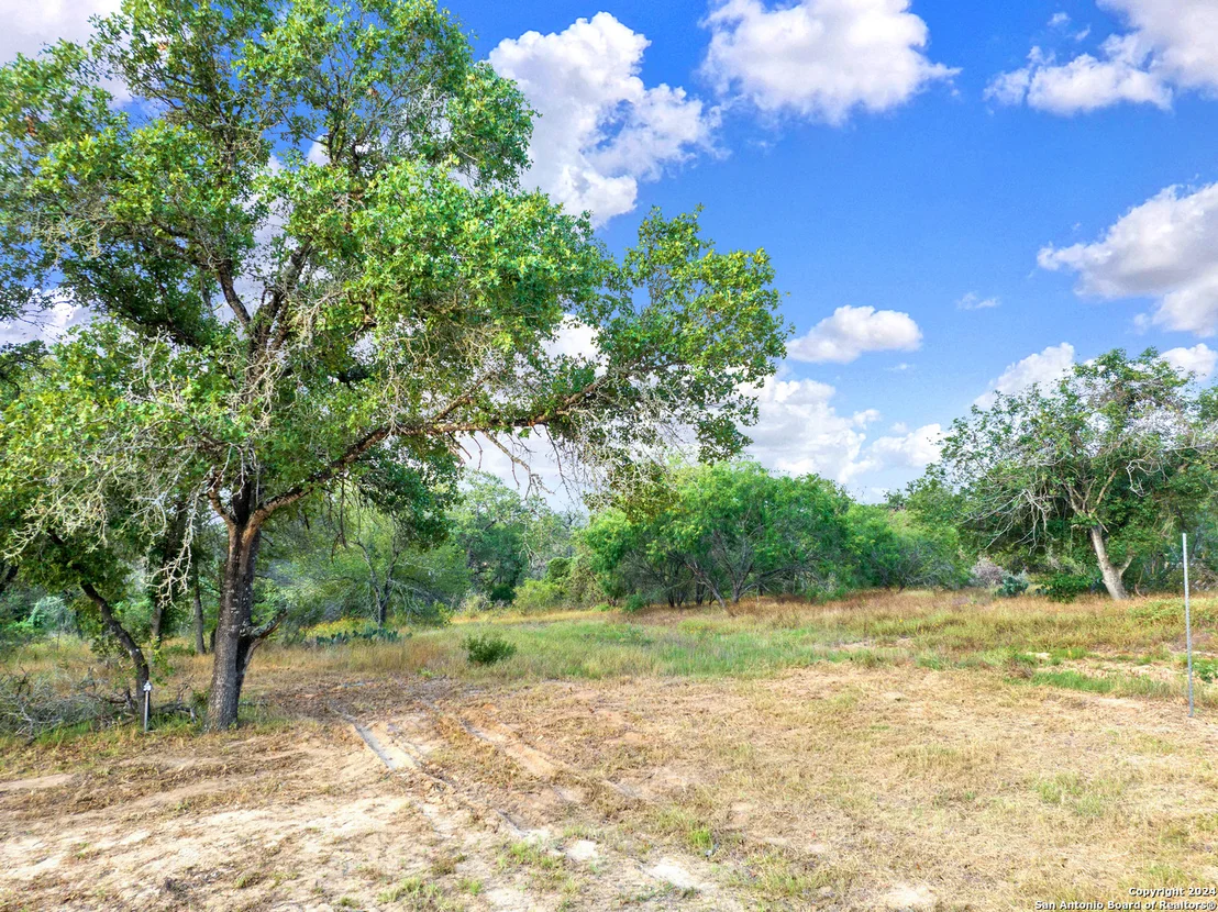 Photo of 250 TIMBER PL