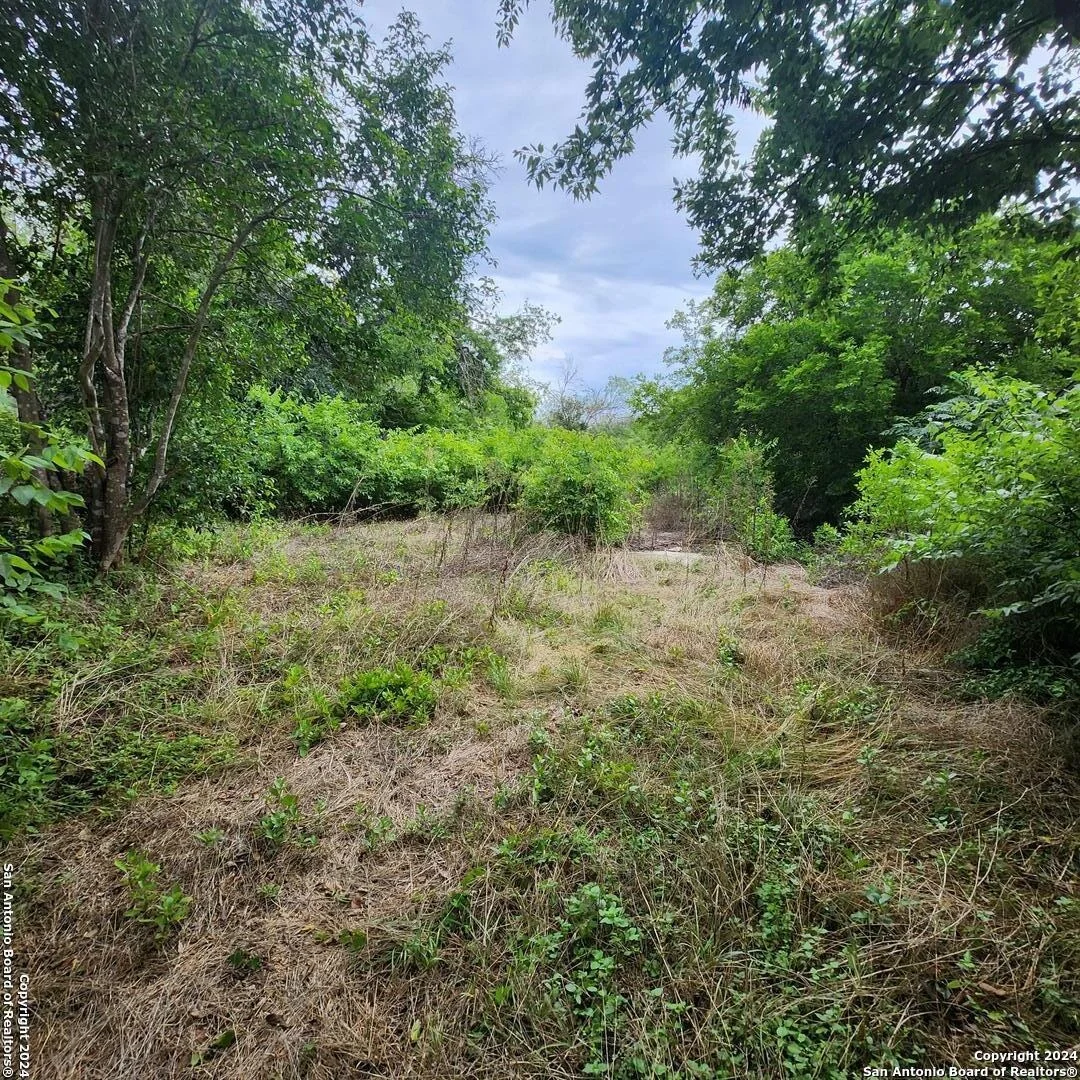 Photo of 1663 AMANDA ST