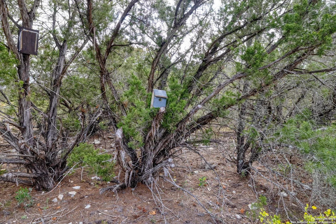 Photo of 25 SD 65065  Dusty Rose Ranch