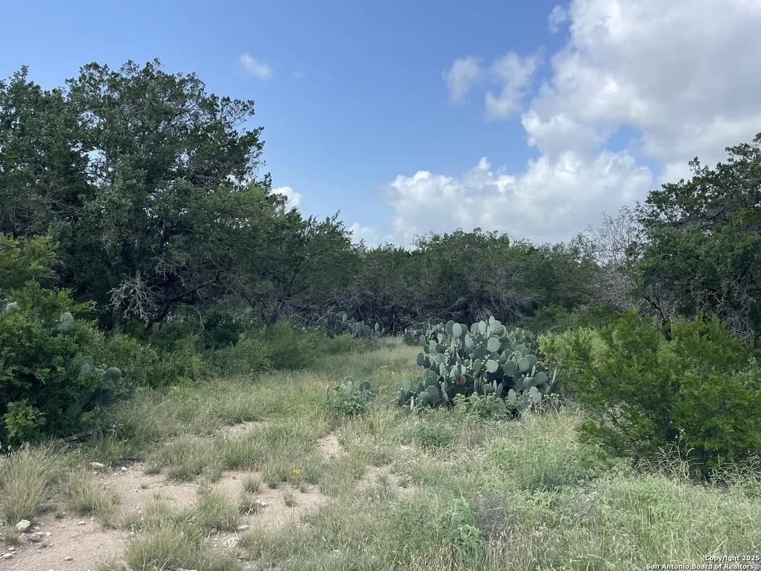 Photo of 233 COUNTY ROAD 340