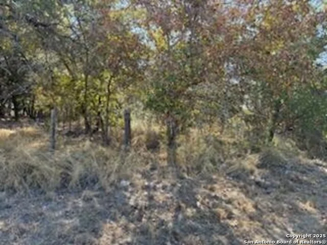 Photo of 23926 US 281 South