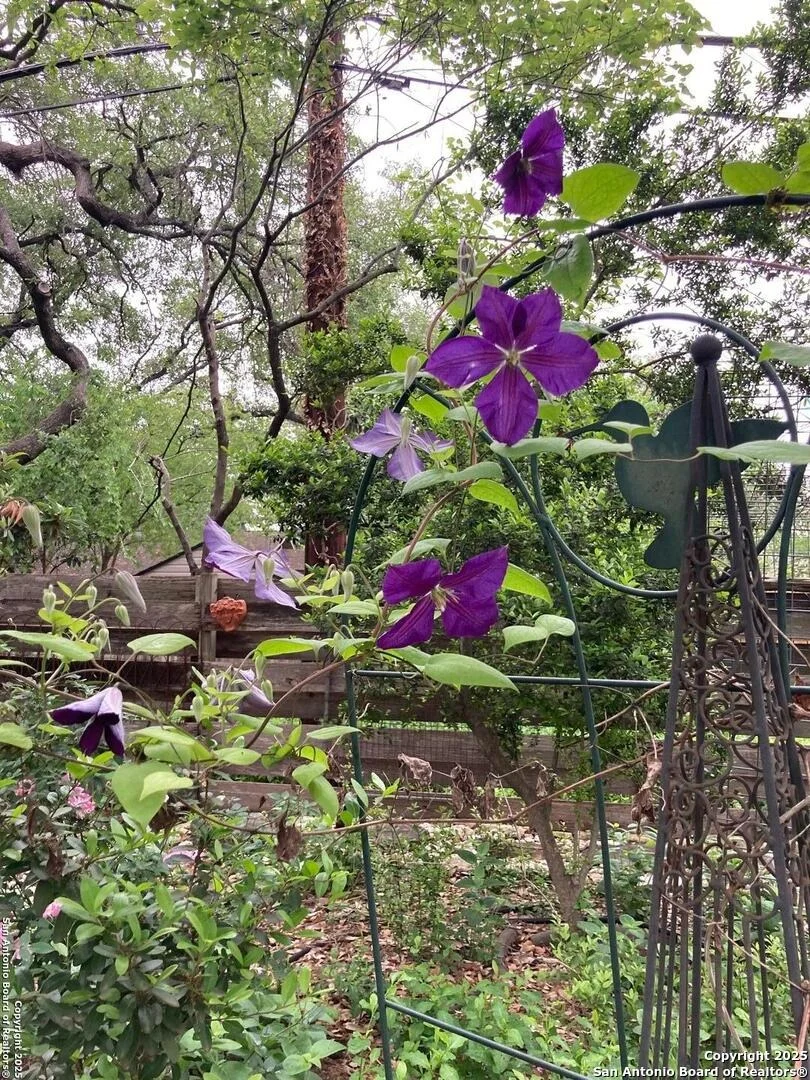 Photo of 2938 Chisolm Trail