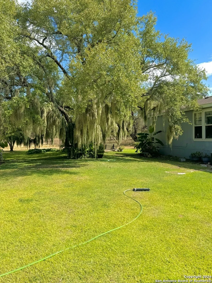 Photo of 2478 Whitley