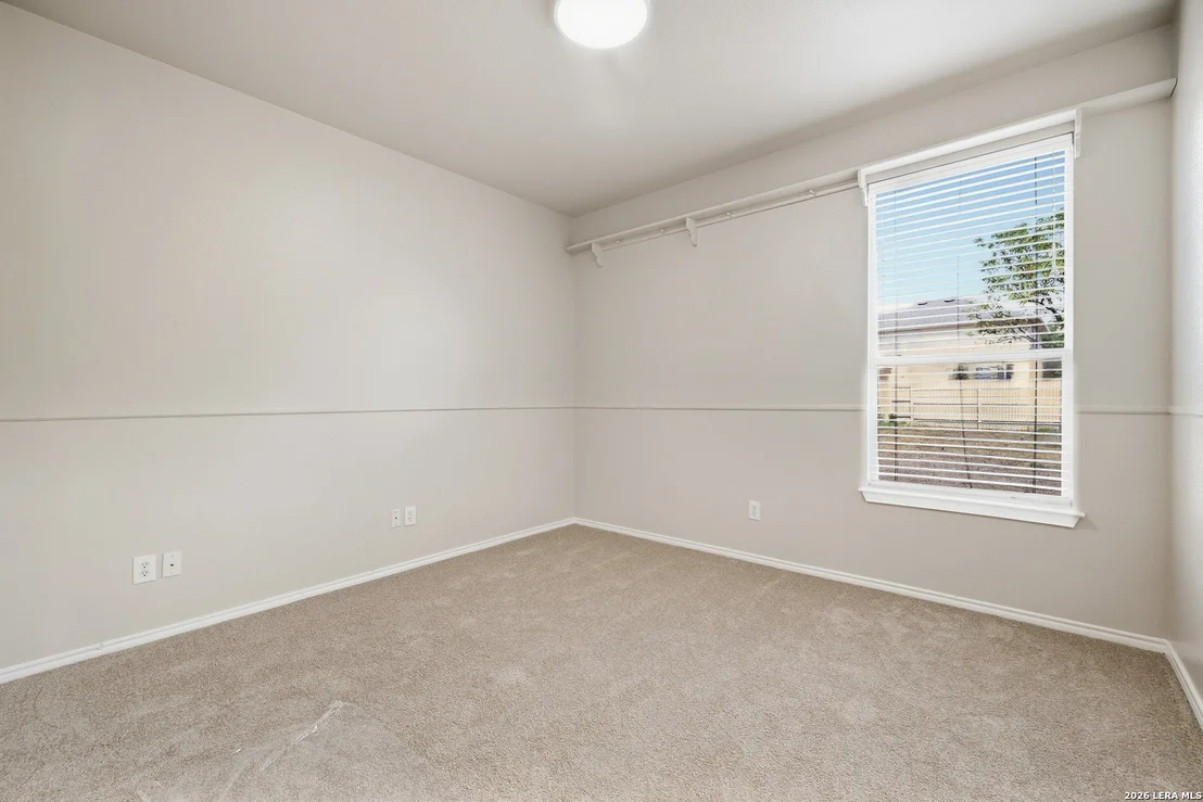 Photo of 25602 Sophora