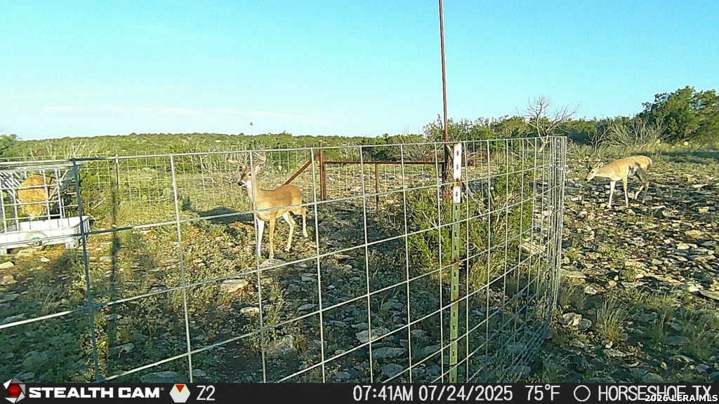 Photo of 0 W Cooper Rd