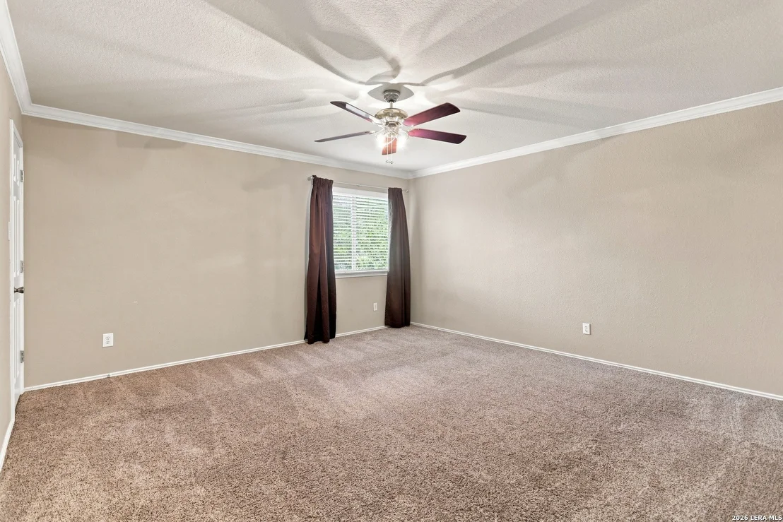 Photo of 11614 Huisache Daisy