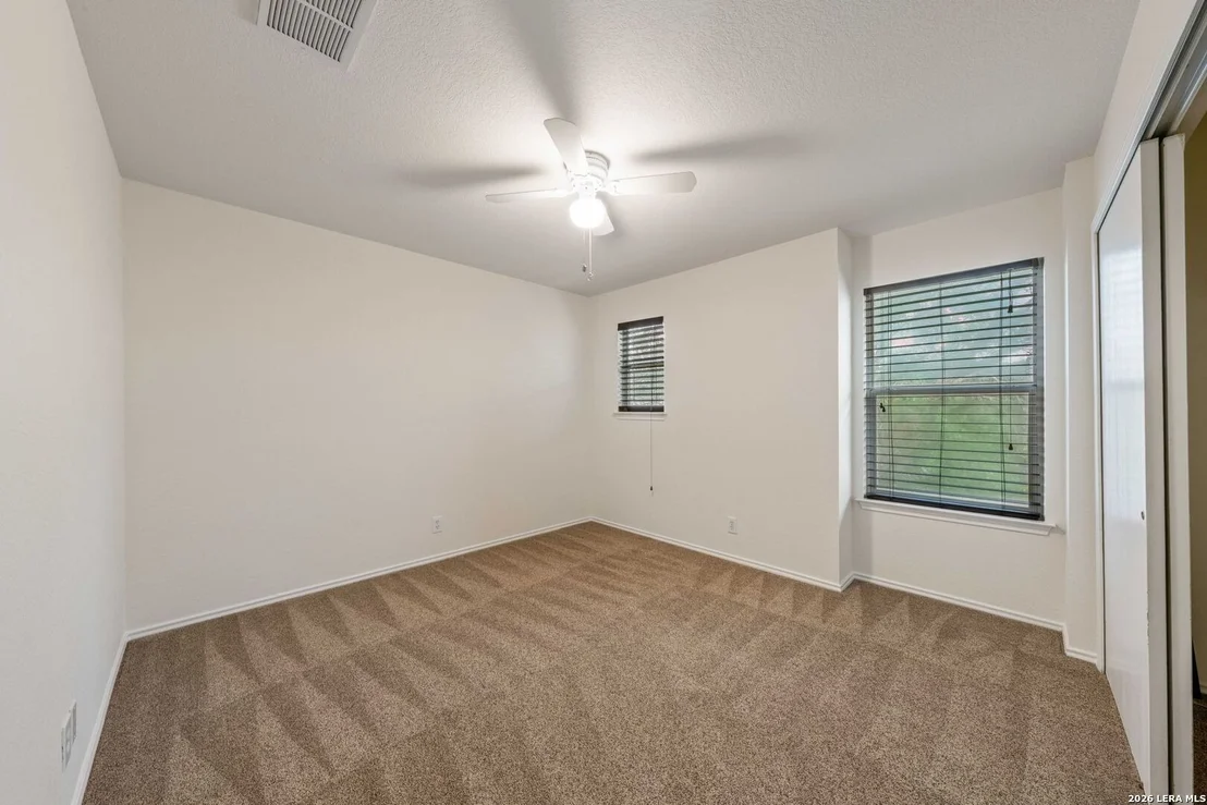 Photo of 4963 Ancient Elm