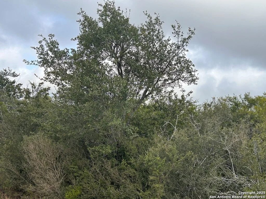 Photo of TBD Hackberry Dr