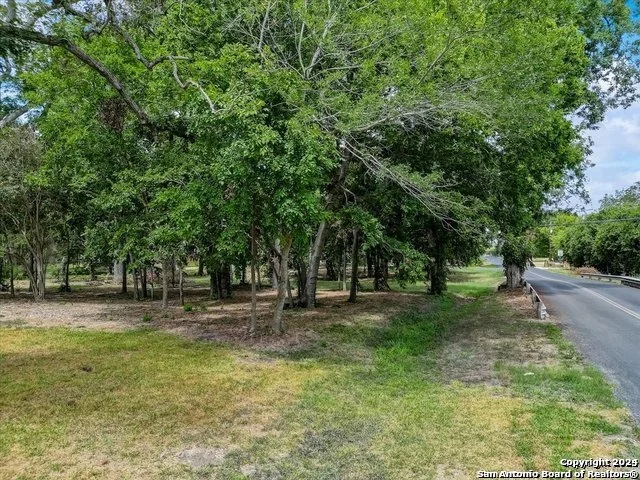 Photo of 217 GUADALUPE RIVER DR