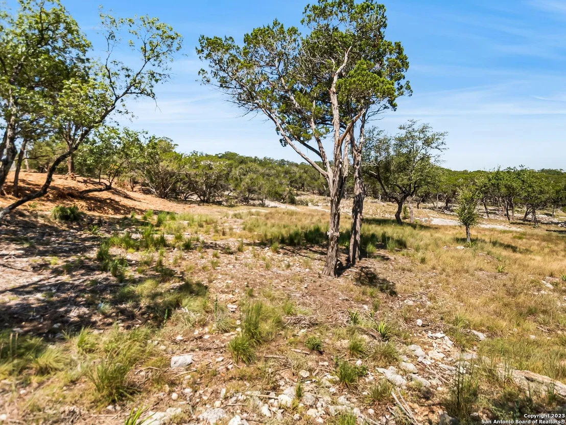 Photo of 2553 GEORGE PASS
