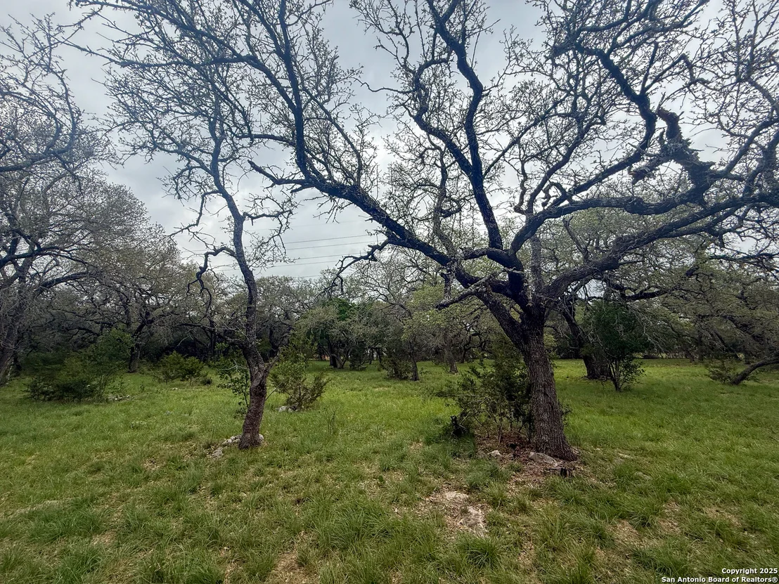 Photo of 23407 Osceola Bluff