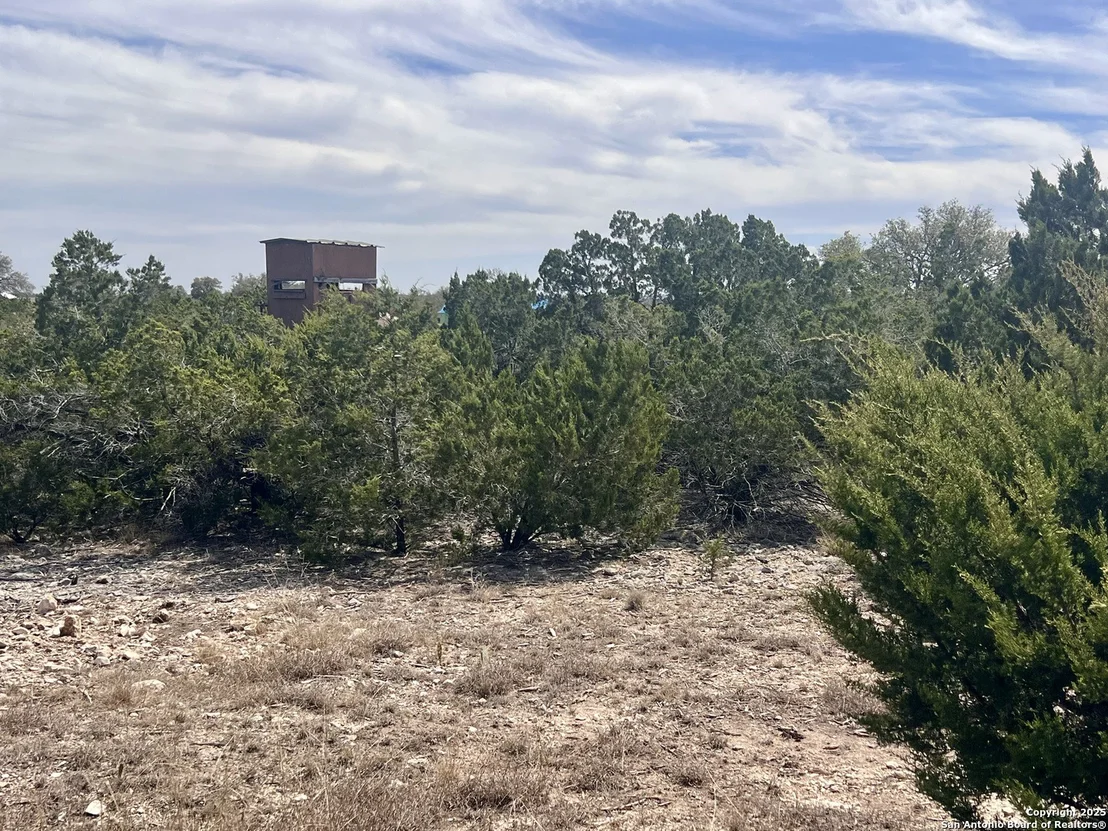 Photo of LOT 150 Cattlemans Crossing