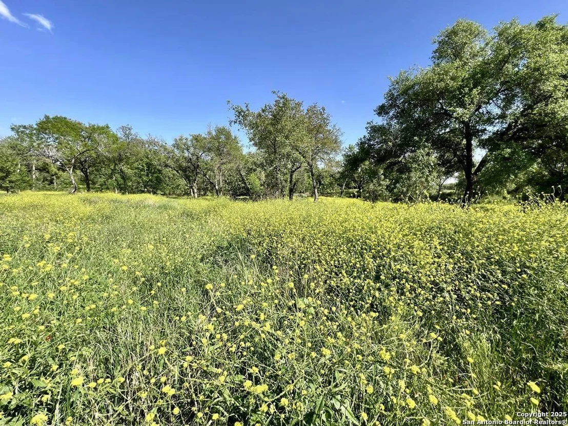 Photo of 188 Medium Meadow