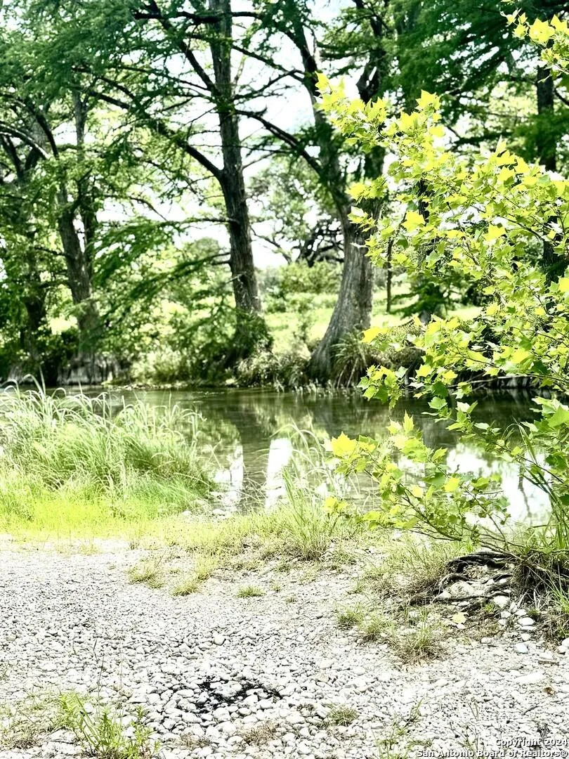 Photo of 29 LONESOME DOVE