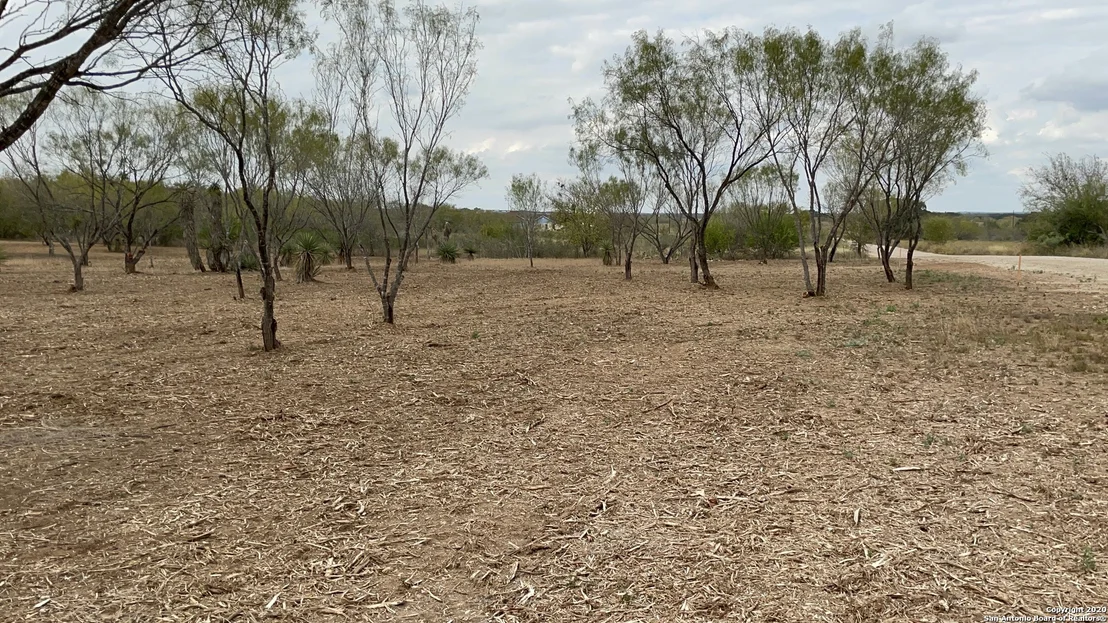 Photo of 297 County Road 1647