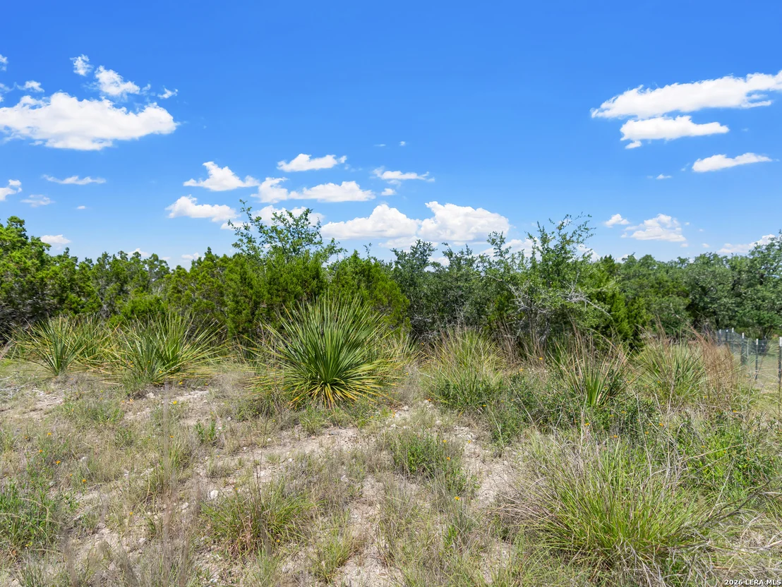 Photo of 242 Ridge PT