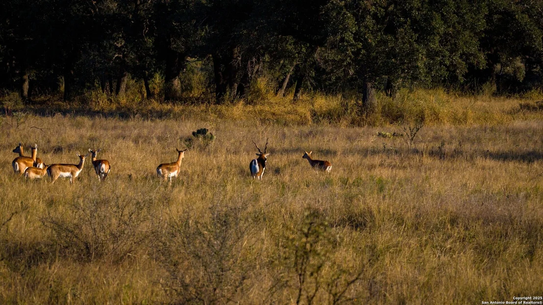 Photo of 7702 ranch road 965