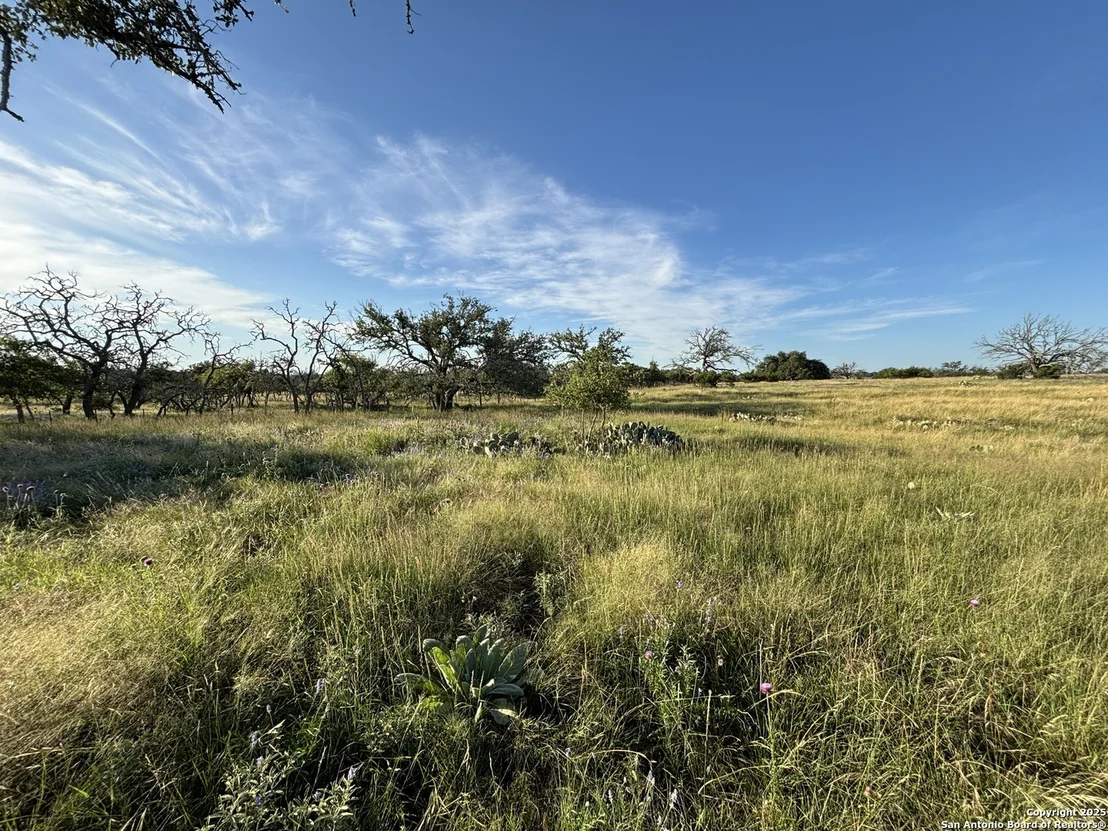 Photo of 183 Lipan Loop