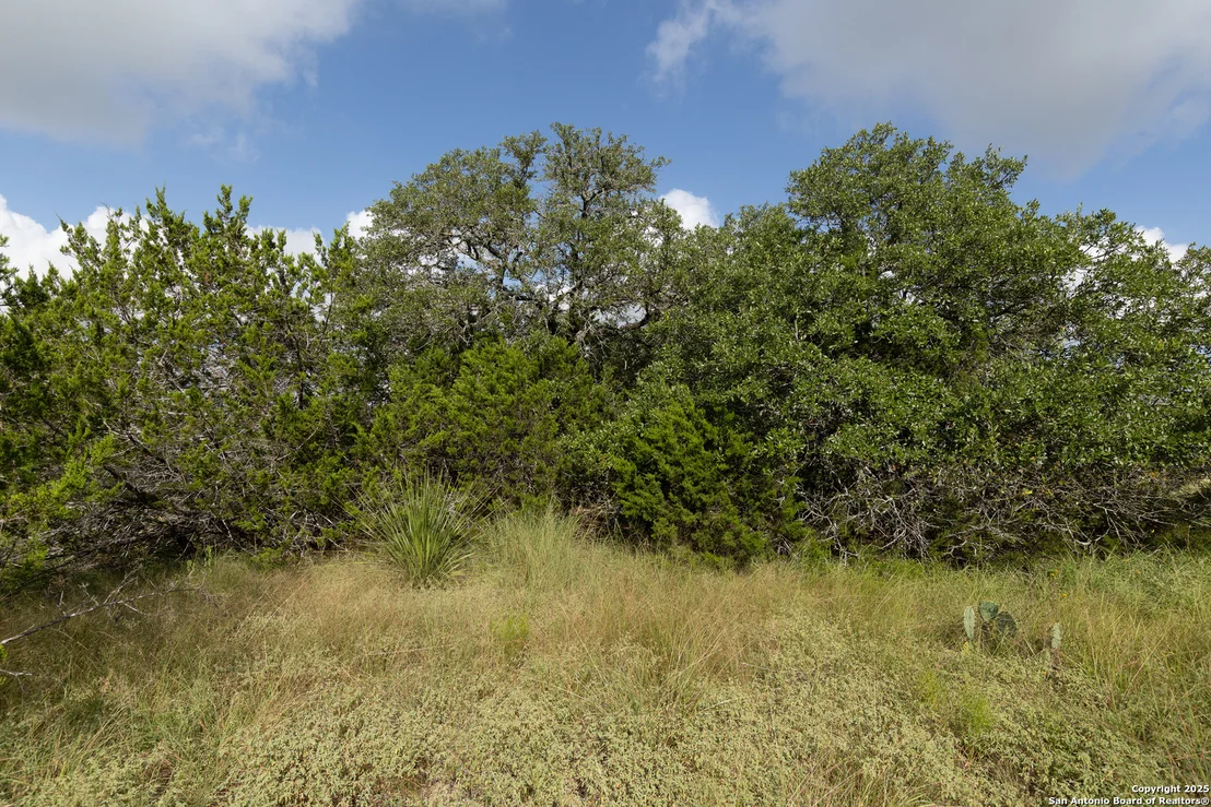 Photo of 376 Charon Point