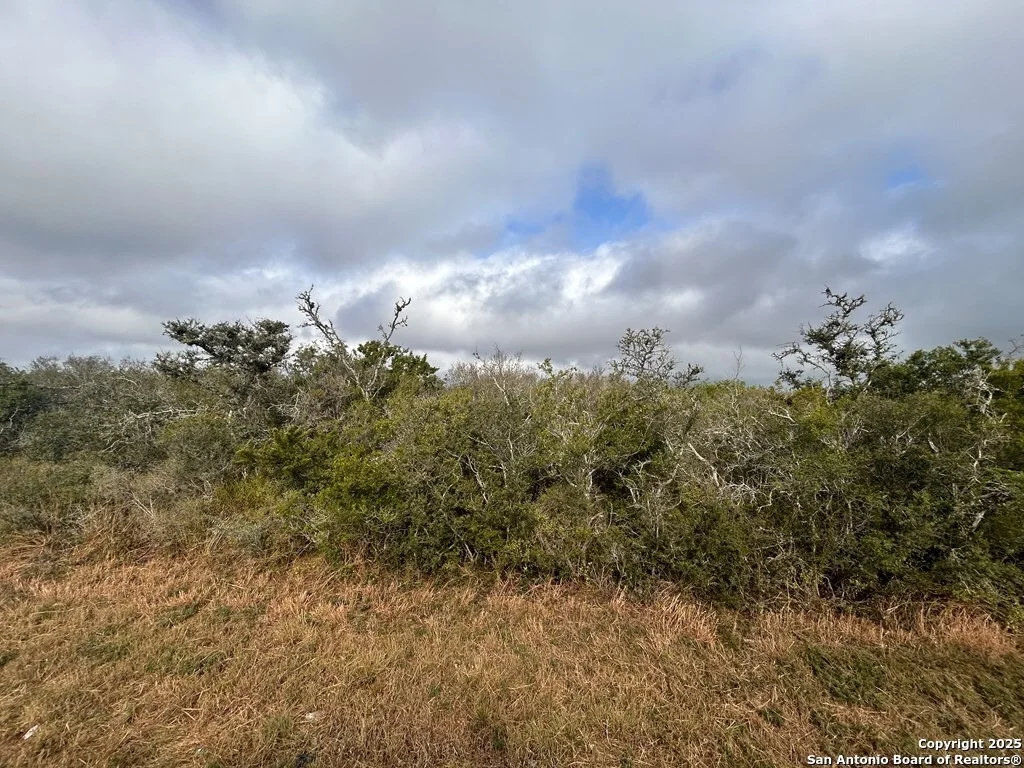 Photo of TBD Hackberry Dr.