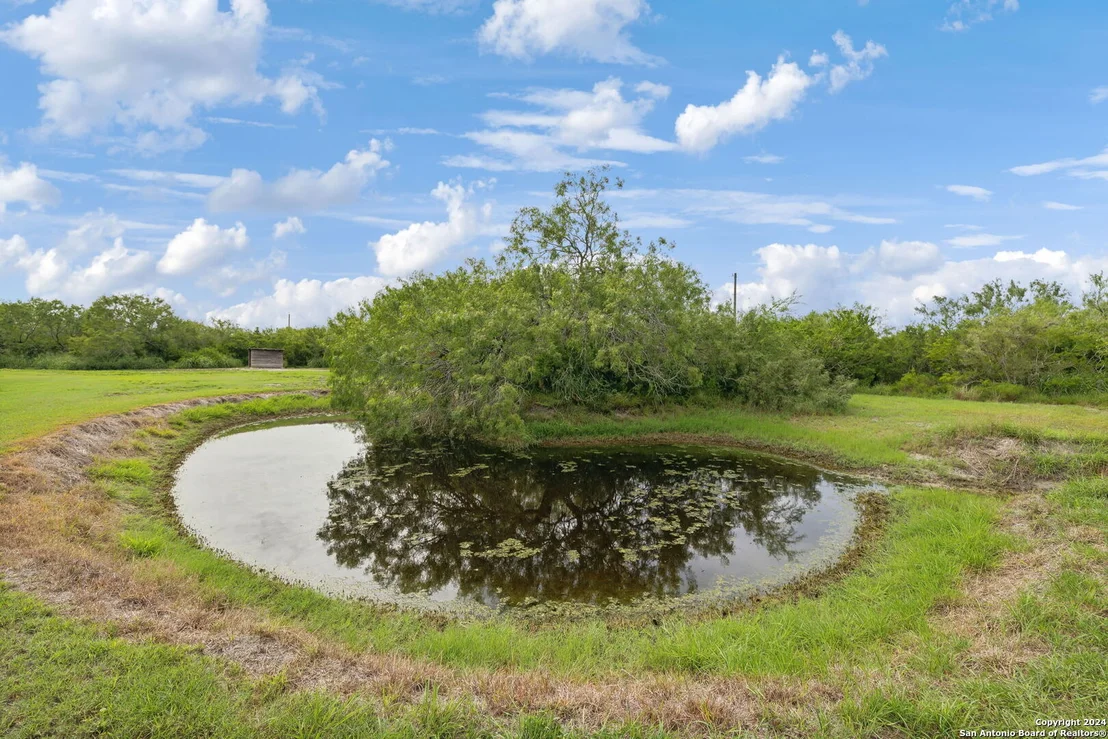 Photo of 254 County Road 2113