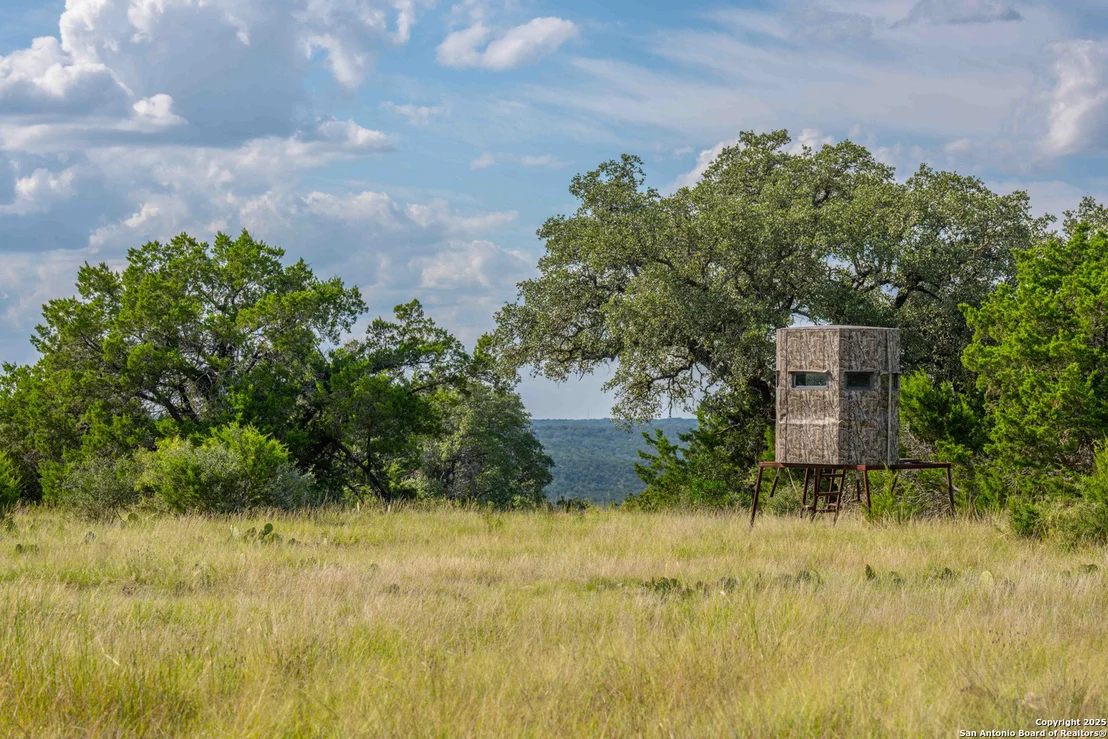 Photo of TBD FM 2169