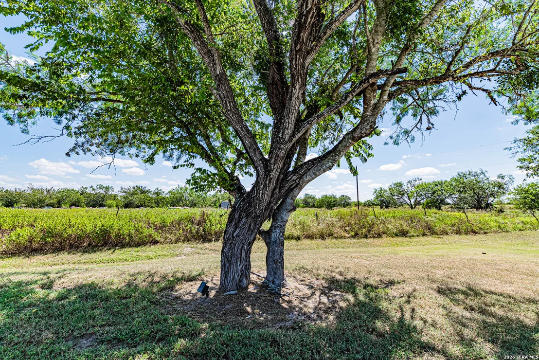Photo of 280 County Road 322