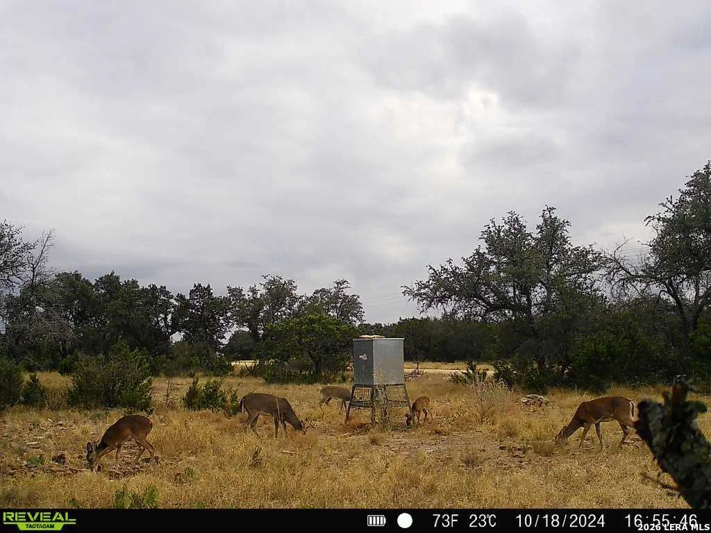 Photo of 07 E Bison Way