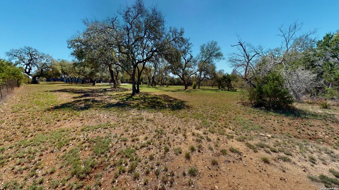 Photo of 795 Persimmon