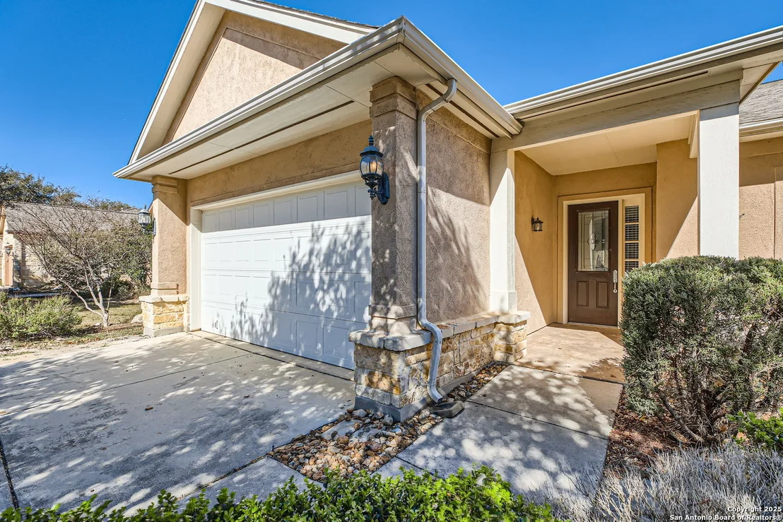 Photo of 12742 Texas Thistle