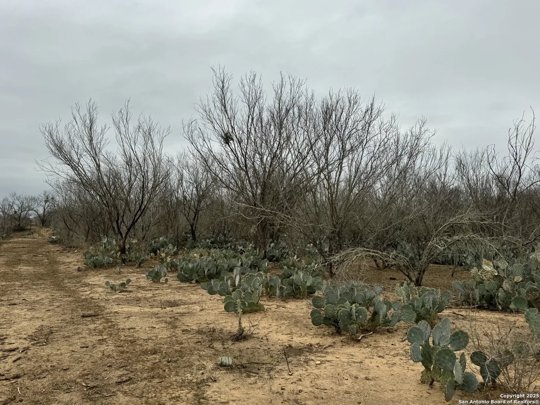 Photo of 3075 County Road 5710