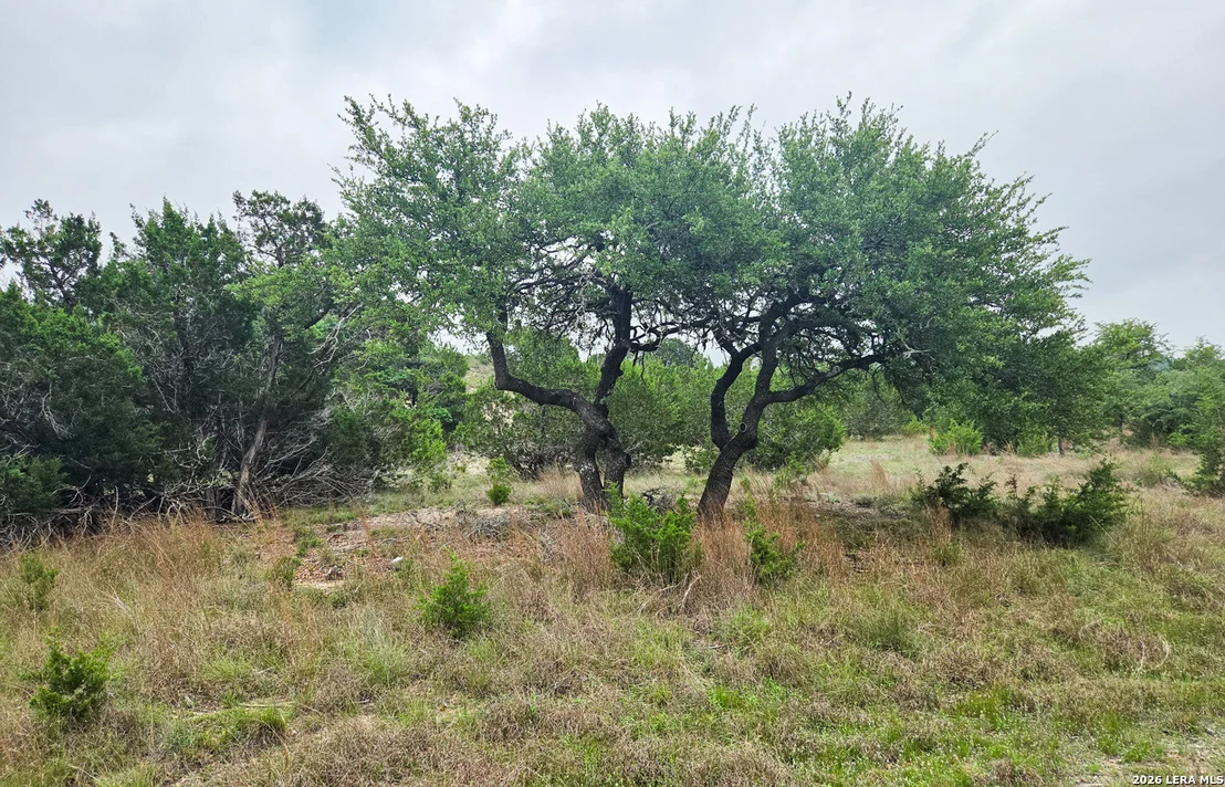 Photo of TBD Falling Oak