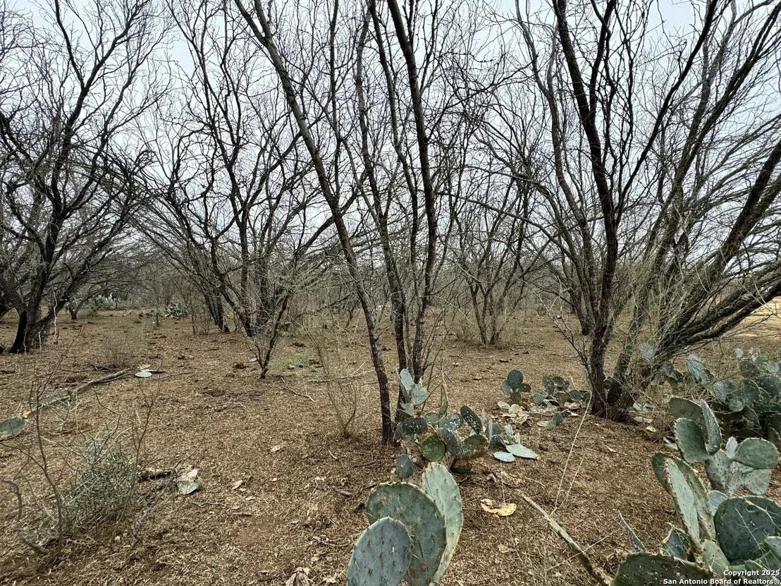 Photo of 3075 County Road 5710