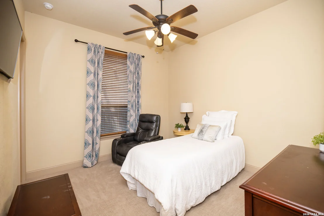 Photo of 25603 Santolina