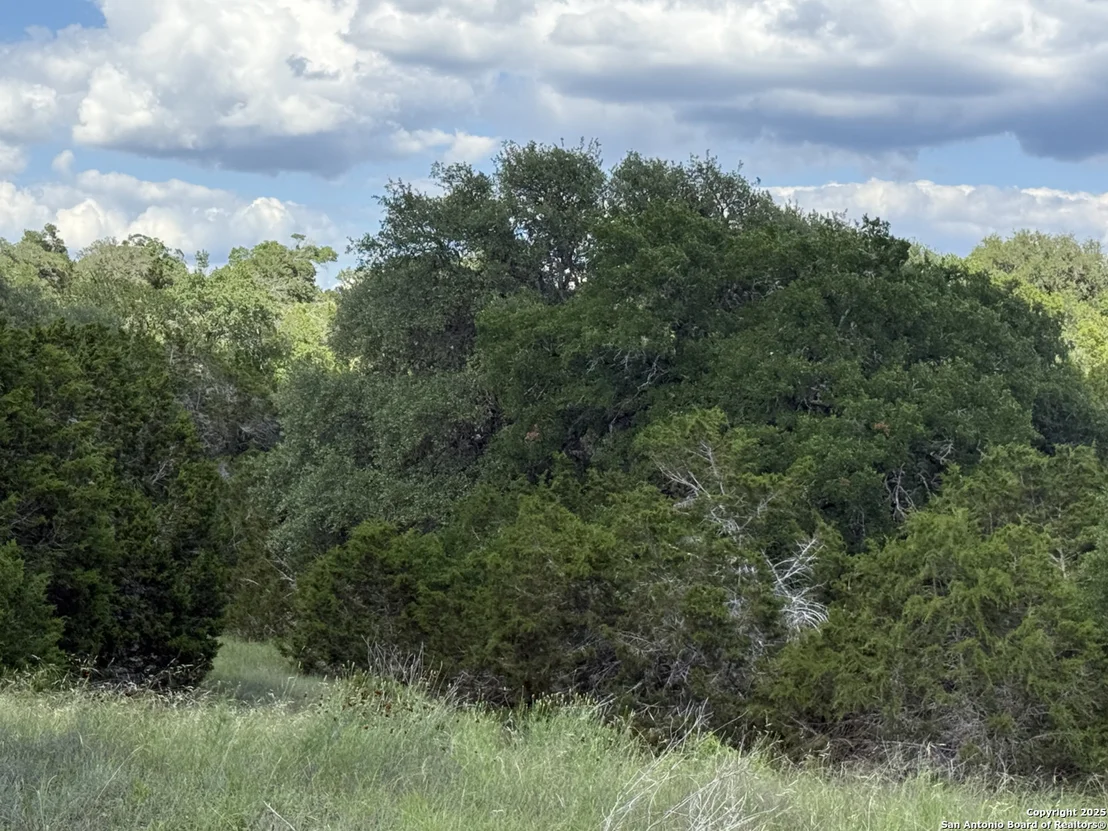 Photo of LOTS 2 & 3 Horseshoe Bend