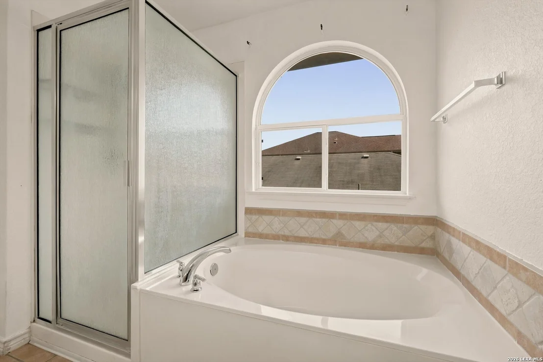Photo of 802 Celosia