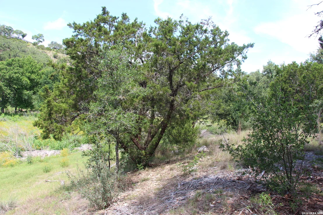 Photo of LOT 52 Clear Water Cyn
