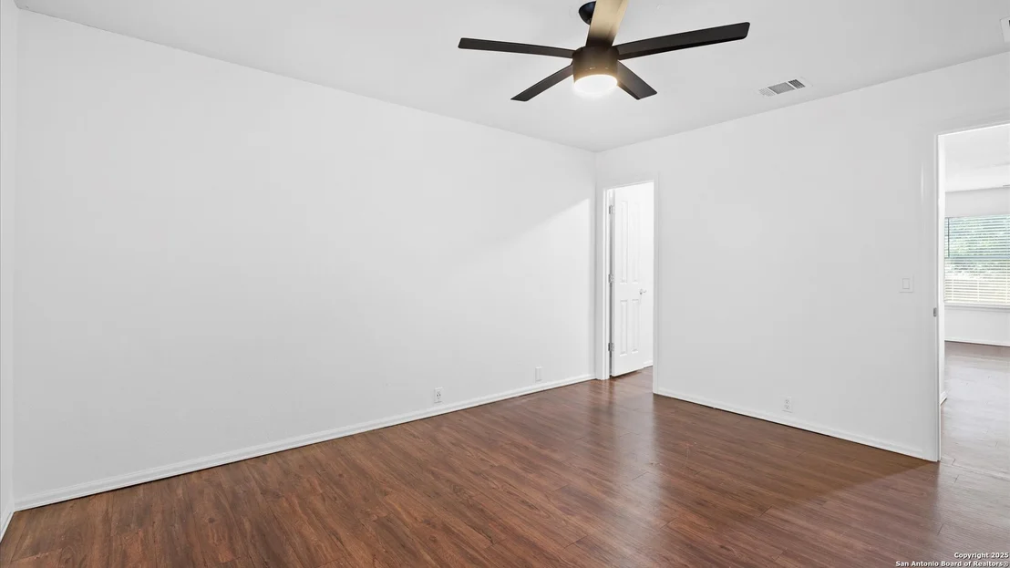 Photo of 154 sassafras