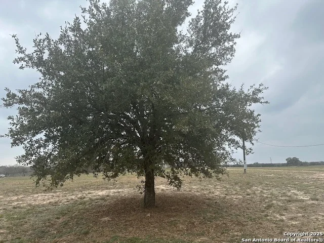 Photo of 006 STEVENS RD