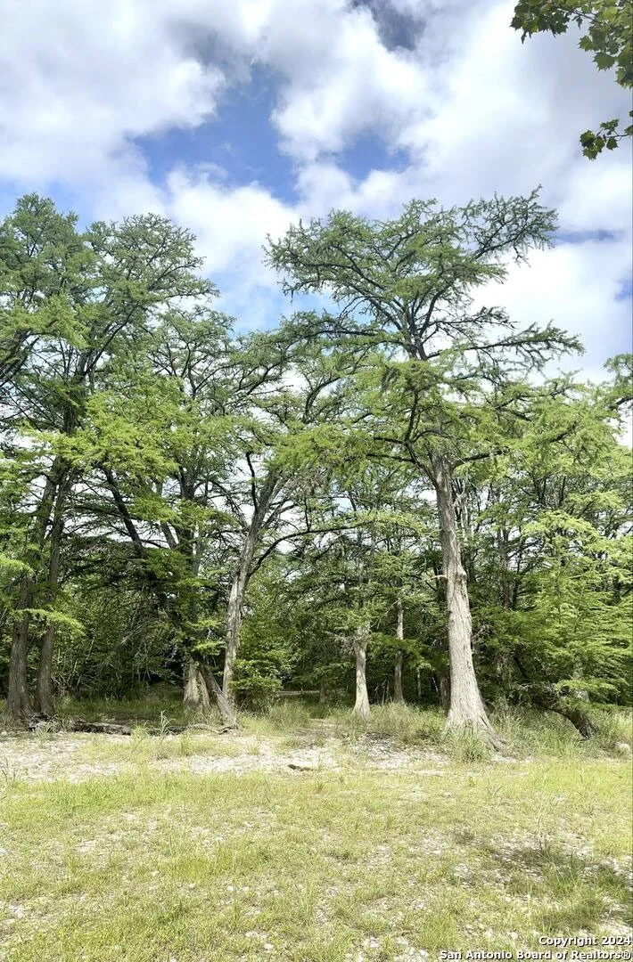 Photo of 29 LONESOME DOVE