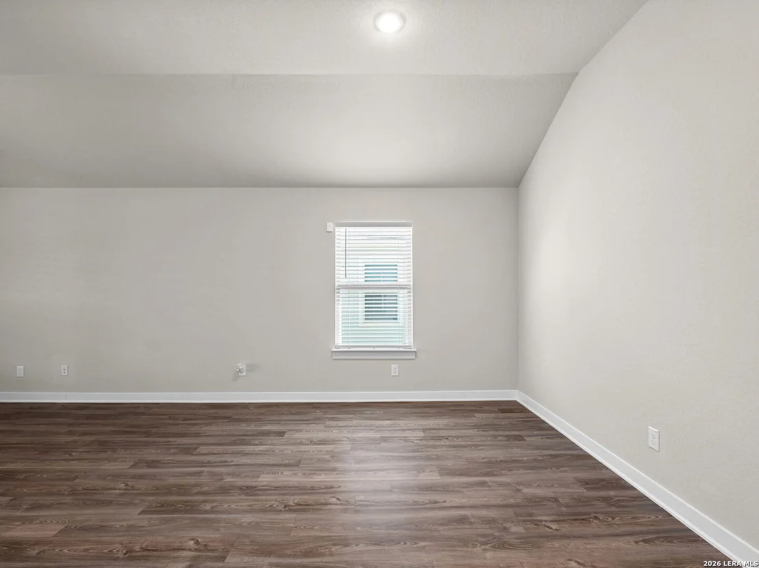 Photo of 3232 Field Thistle