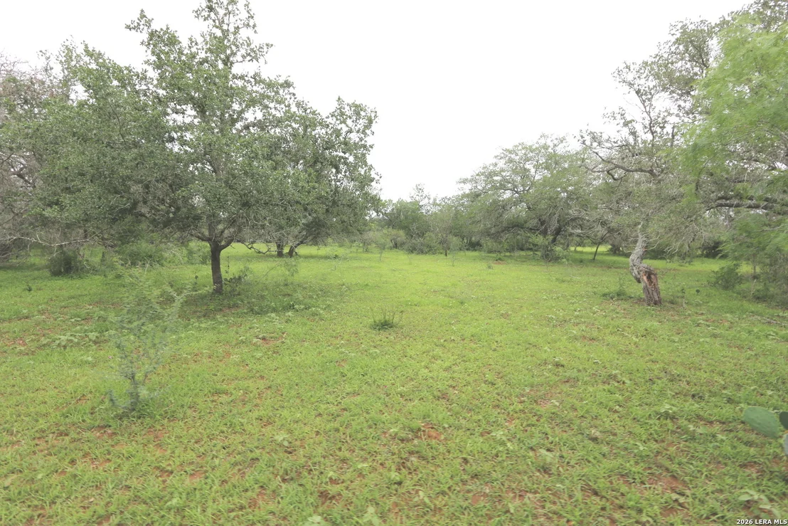 Photo of 2257 County Road 475