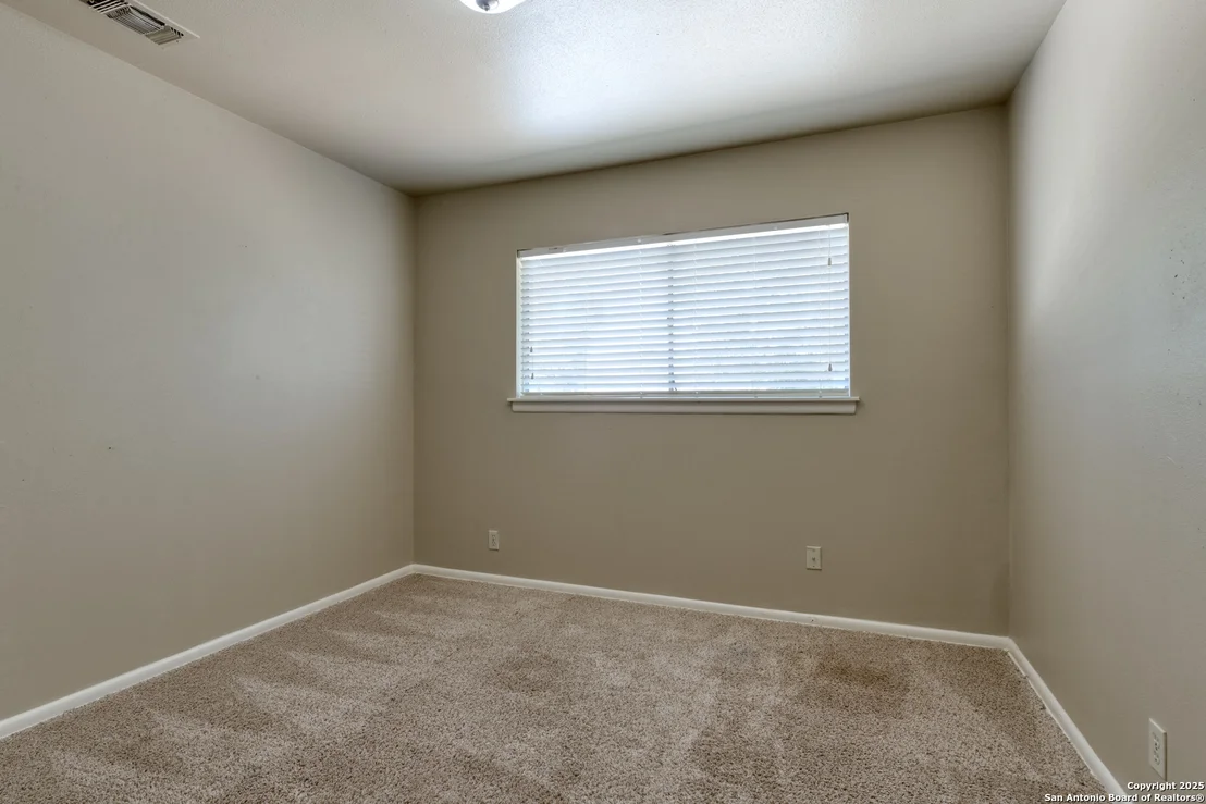 Photo of 210 Lost Forest