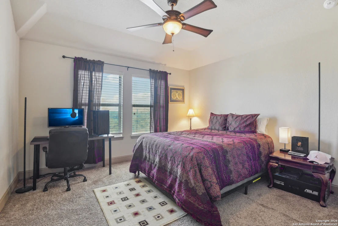 Photo of 25612 Santolina